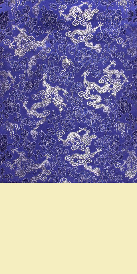 Fabric - Dense Dragon Brocade (Multicolor)