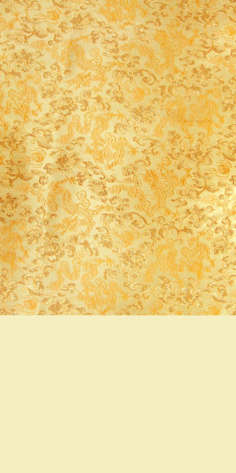 Fabric - Dense Dragon Brocade (Multicolor)