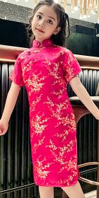 Girl's Plumb Blossoms Cheongsam Dress (RM)