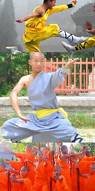 Shaolin Single Arm Short Robe w/ Pants (RM)