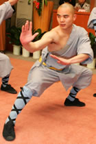 Shaolin Single Arm Short Robe w/ Pants (CM)