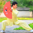 Professional Taichi Kungfu Uniform with Pants - Cotton/Silk - Yellow (RM)