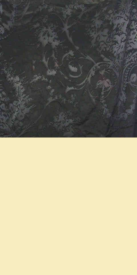 Fabric - See-through Embroidery Silk Velvet Gauze (Black)