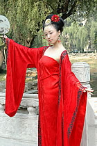 Tang Style Hanfu (CM)