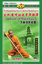 Shaolin Kung Fu Appreciation