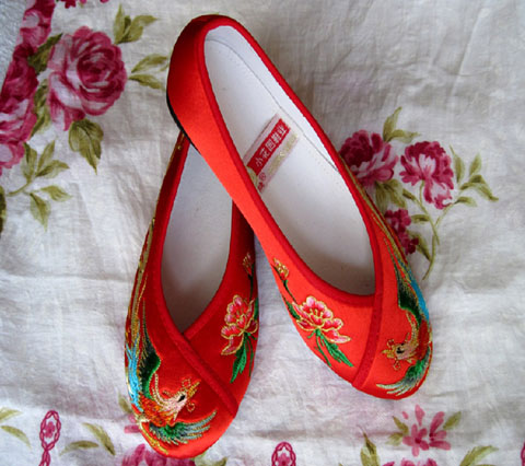 Phoenix Embroidery Shoes (Multicolor)