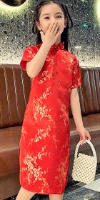 Girl's Plumb Blossoms Cheongsam Dress (RM)